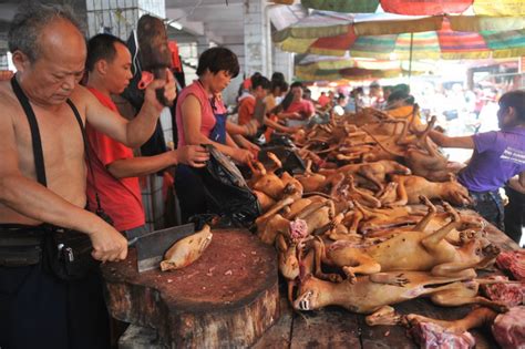  Yangquan Şehri'nden Gelen Yulin Kızartması: Acı biberlerle Dans Eden Lezzet Bombası mı?